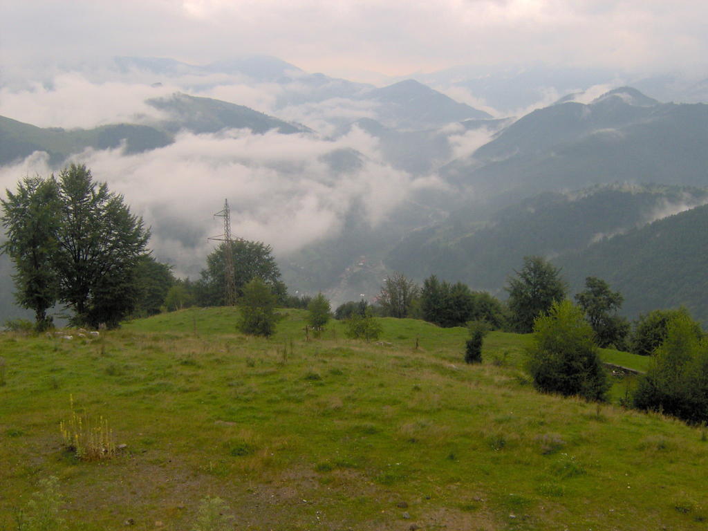 Pensiunea Luminita Ciungetu Buitenkant foto