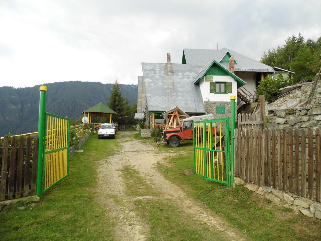 Pensiunea Luminita Ciungetu Buitenkant foto