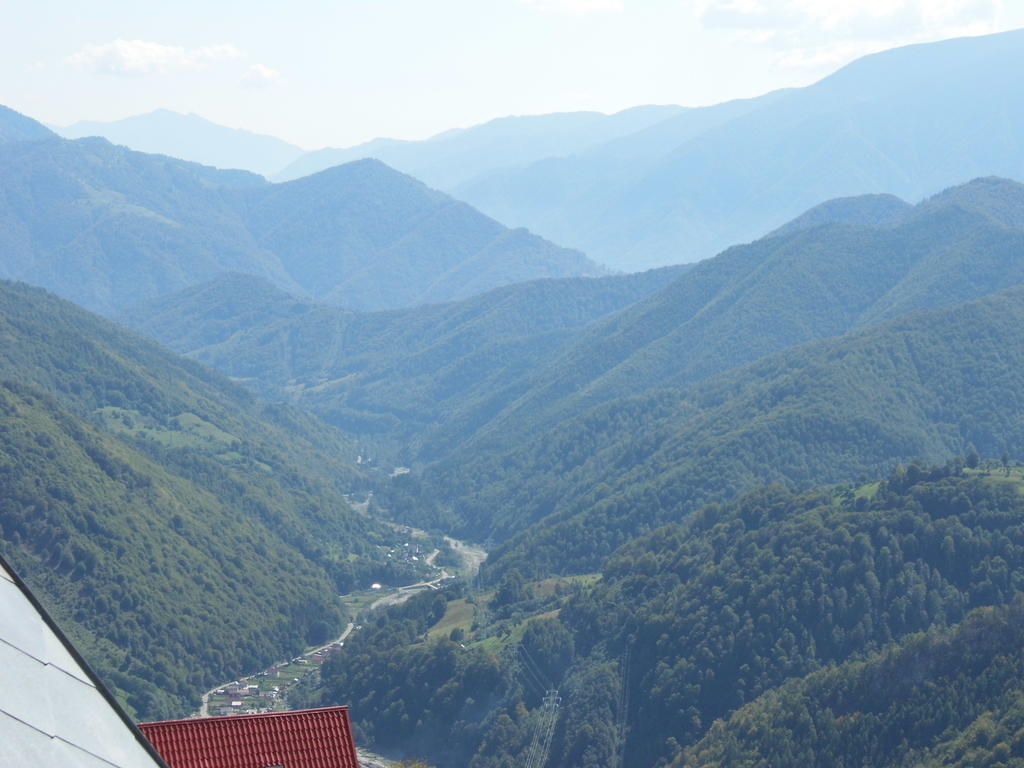 Pensiunea Luminita Ciungetu Buitenkant foto